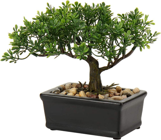 Artificial Bonsai Tree - Fake Indoor Decor Plants with Ceramic Pots