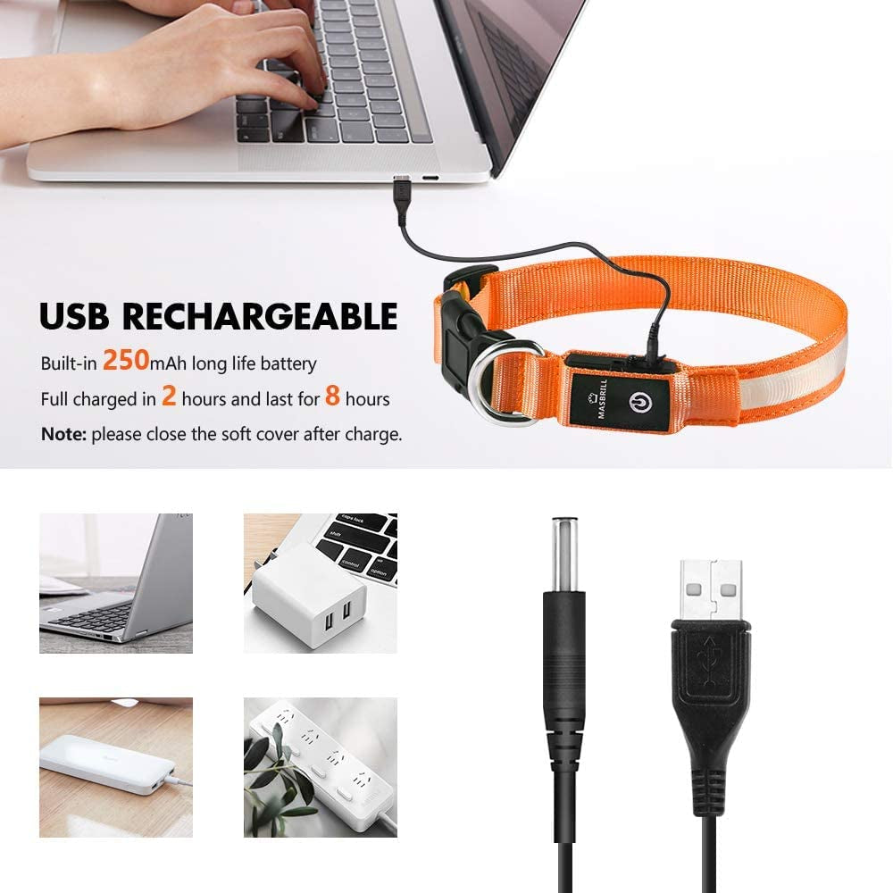 Dog Collars - Waterproof LED Rechargeable Dog Collar