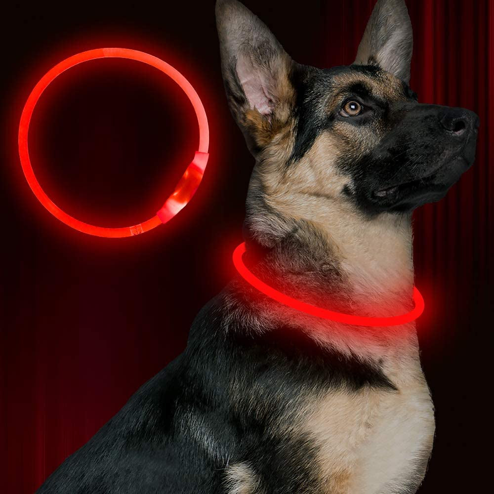 LED Dog Collar - USB Rechargeable Glowing Pet Collar for Night Safety
