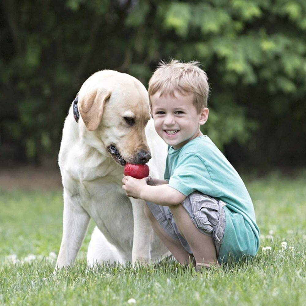 Classic KONG Medium Size Dog Toy