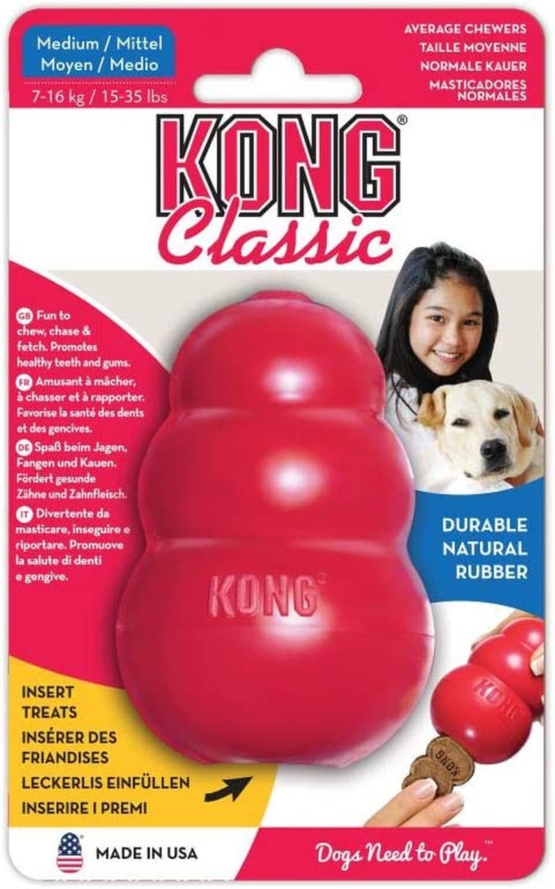 Classic KONG Medium Size Dog Toy