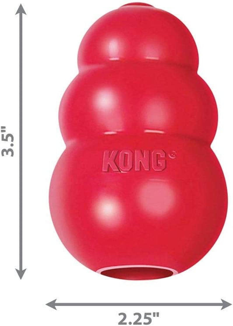 Classic KONG Medium Size Dog Toy