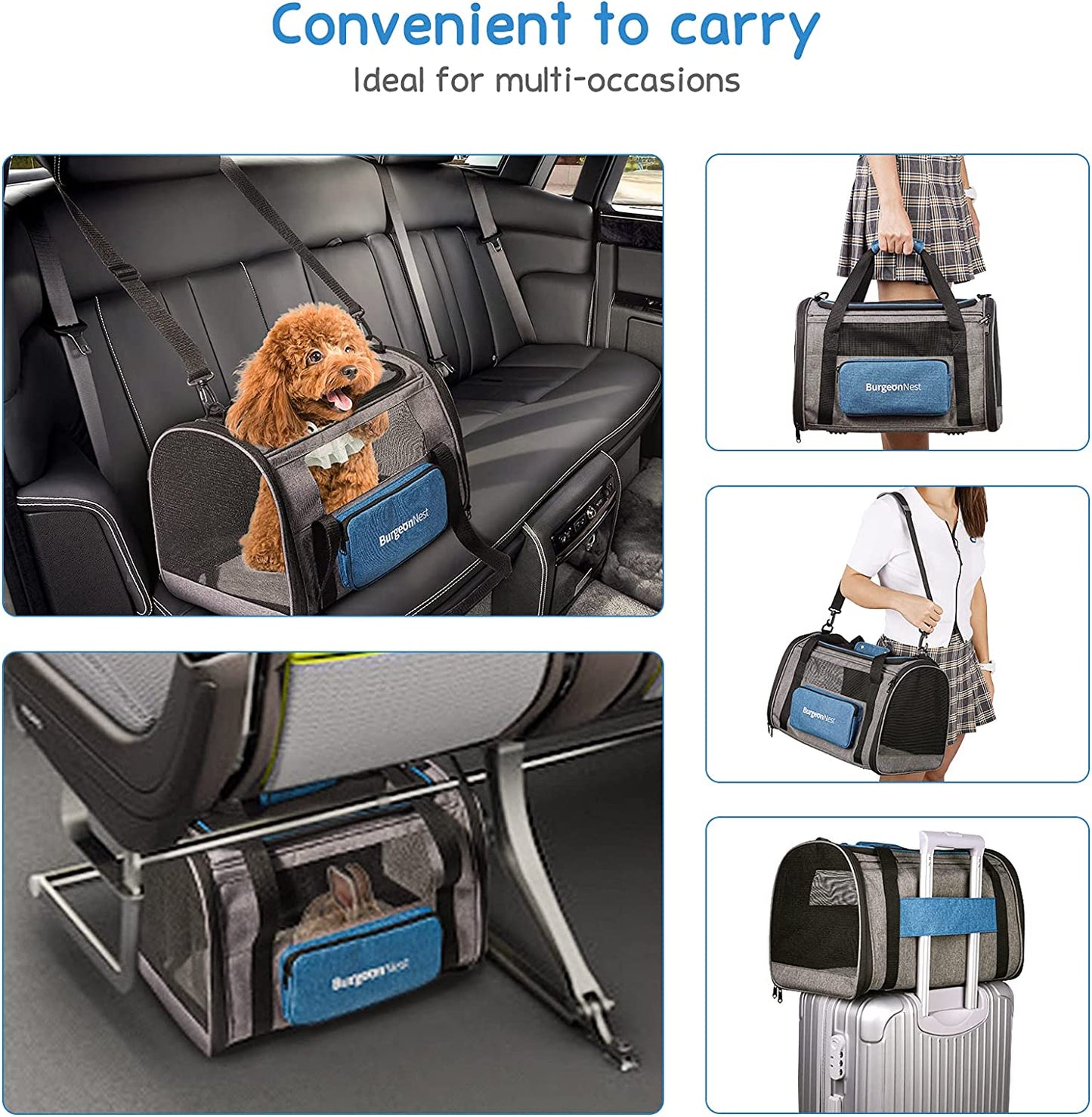 Large Pet Carrier - 20 Lbs Small Dogs Carrier with 4 Ventilated Windows