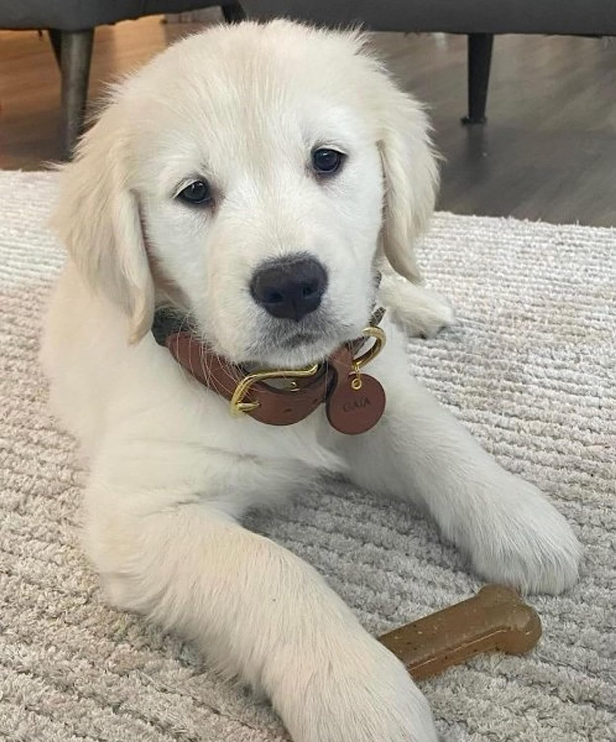Puppy Chew Toy - Puppy Chew Toys for Teething