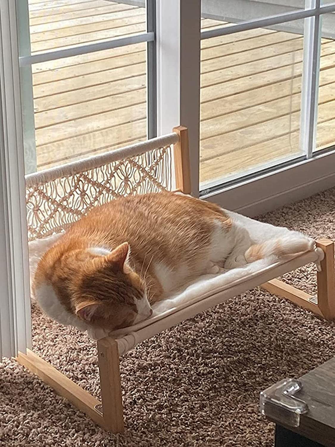 Cat Hammock - Cat Bed with Blanket Indoor Pet Bed Cat Resting Hammock