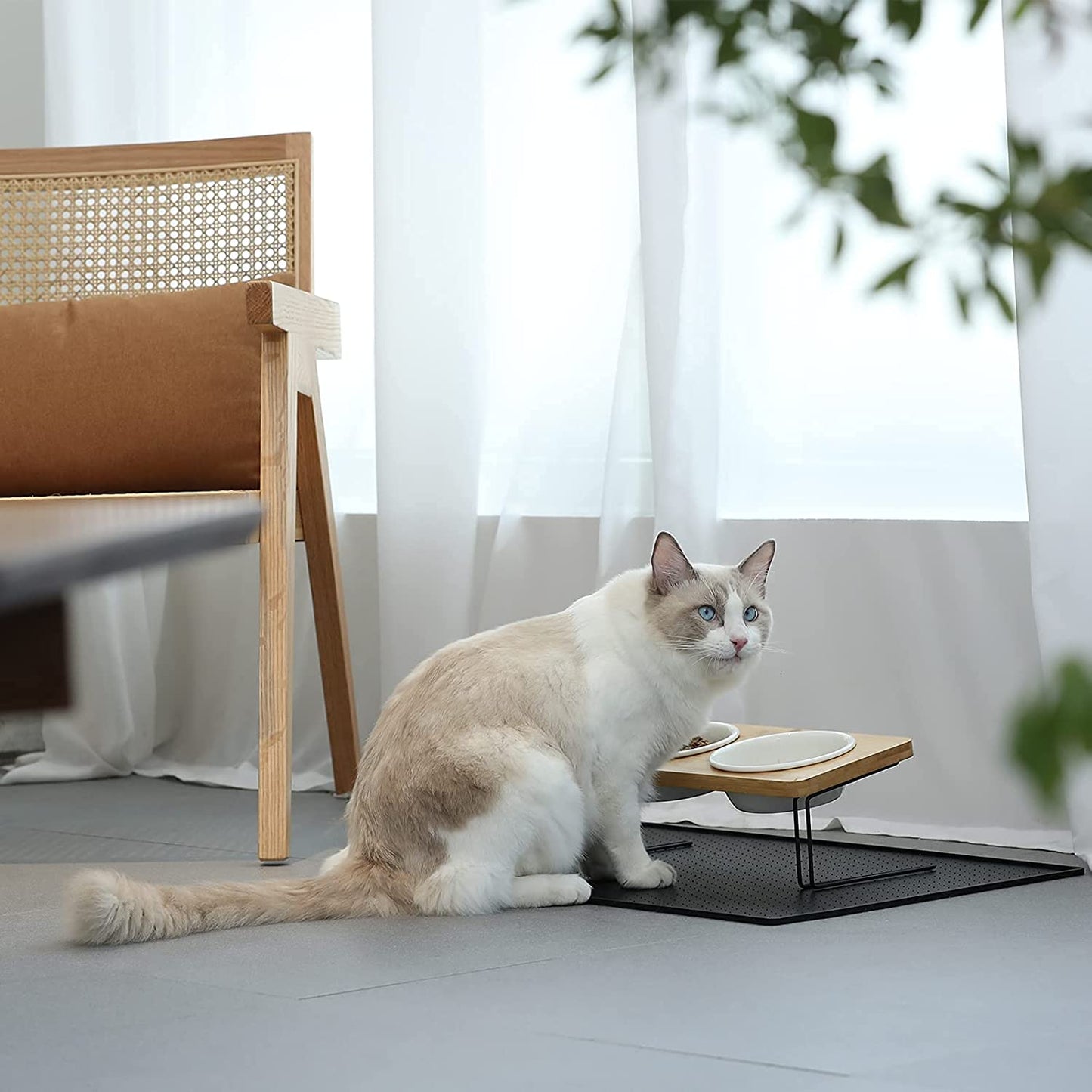 Ceramic Pet Food Bowls - Raised Feeding Bowls