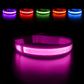 Dog Collars - Waterproof LED Rechargeable Dog Collar
