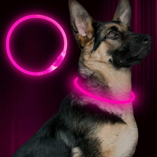 LED Dog Collar - USB Rechargeable Glowing Pet Collar for Night Safety