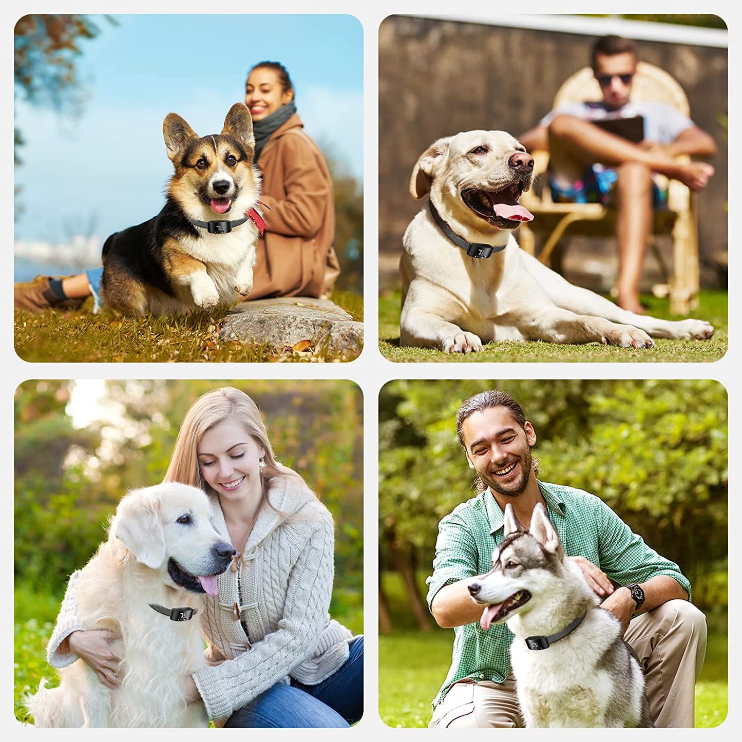 Bark Collar for Dogs Rechargeable anti Barking Training Collar with 7 Adjustable Sensitivity