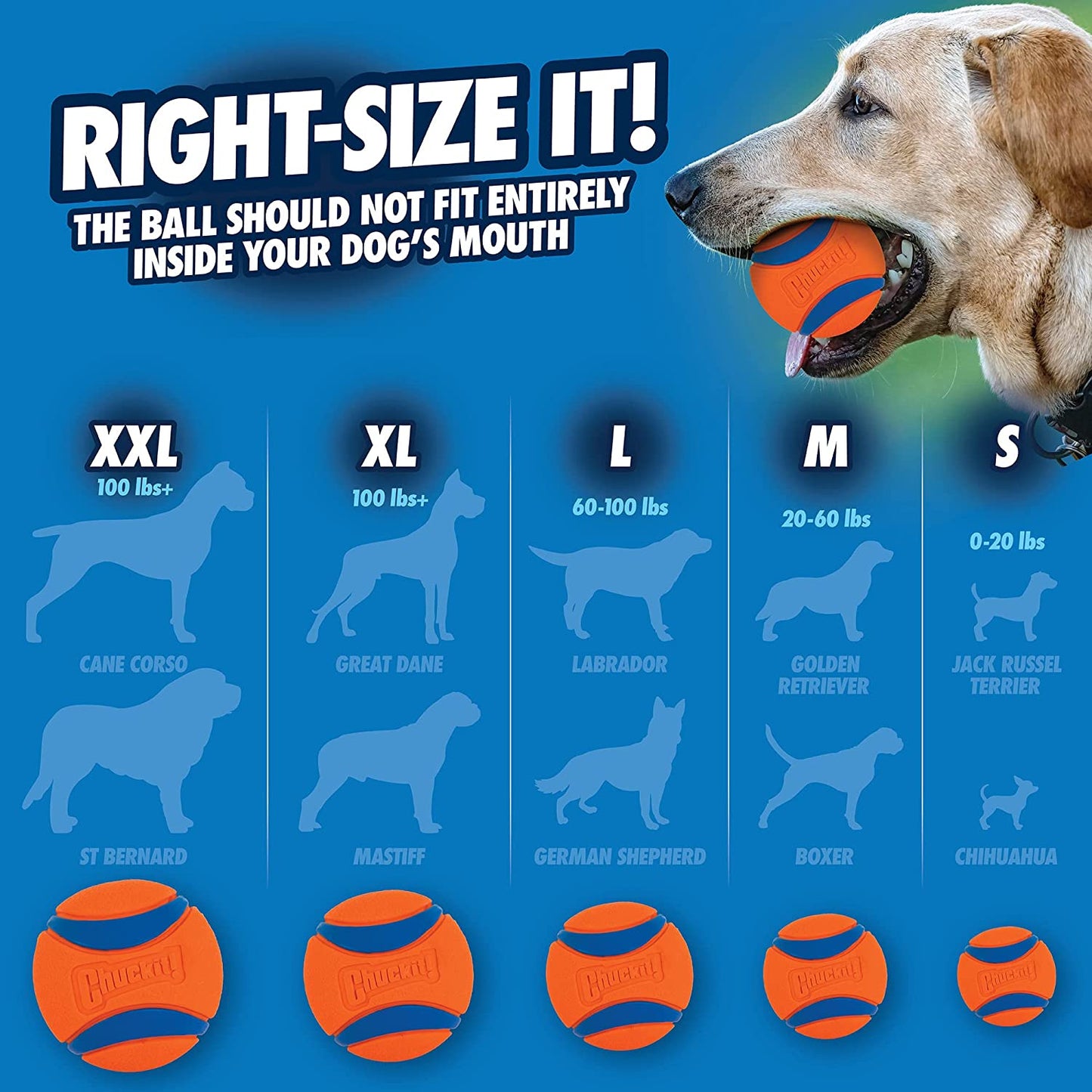 Chuckit - Dog Ball Dog Toy