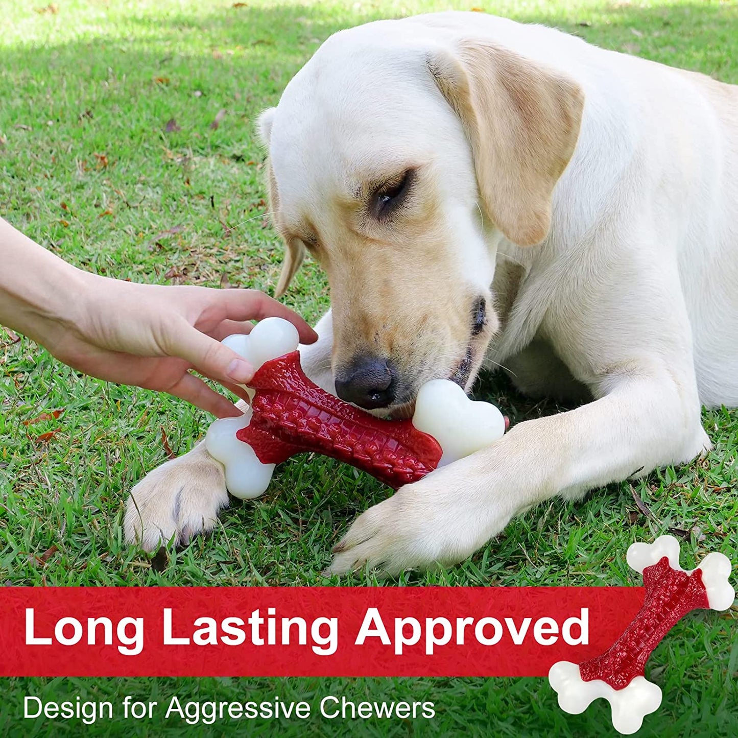 Dog Toys - Indestructible Dog Bone Chew Nylon Toys - Aggressive Chew Dogs Toys
