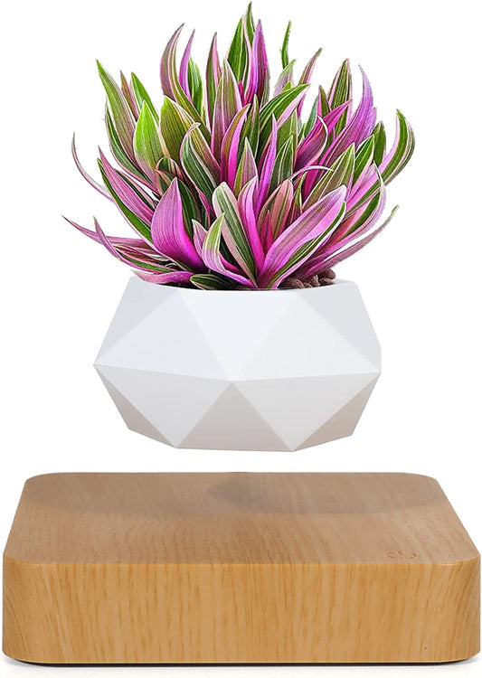 Levitating Bonsai Pot - Magnetic Levitation Flower Planters Suspension Floating Pot
