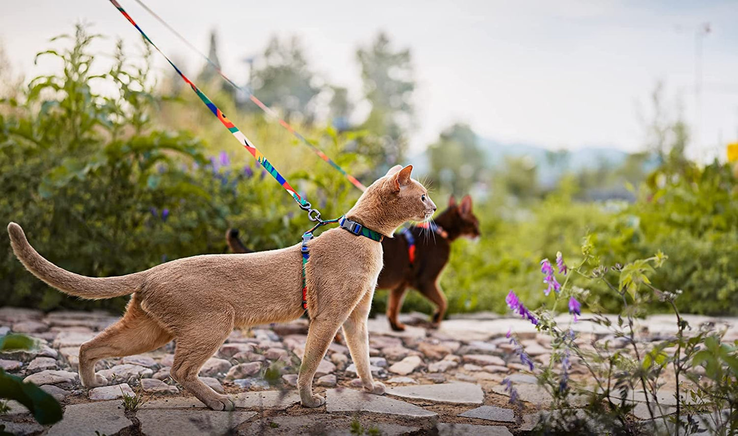 Cat Harness and Leash Set - Cats Escape Proof - Adjustable Harness