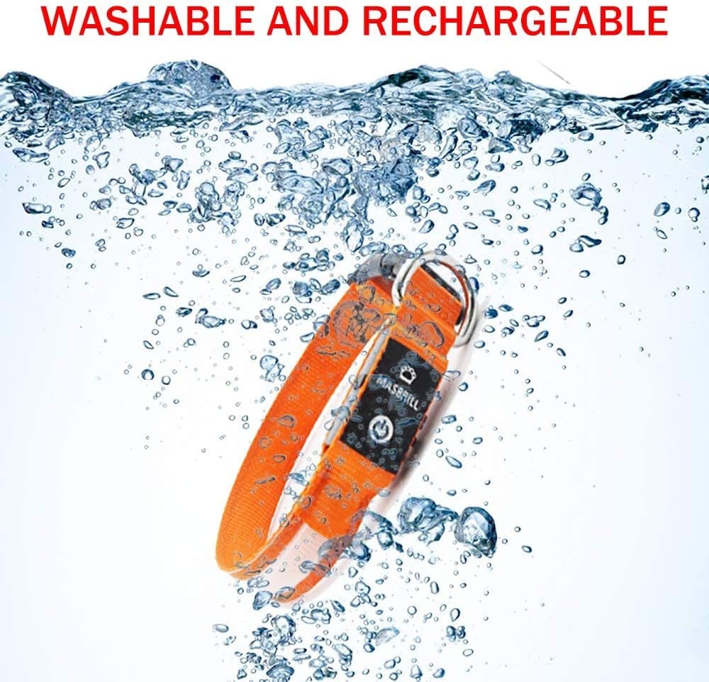 Dog Collars - Waterproof LED Rechargeable Dog Collar