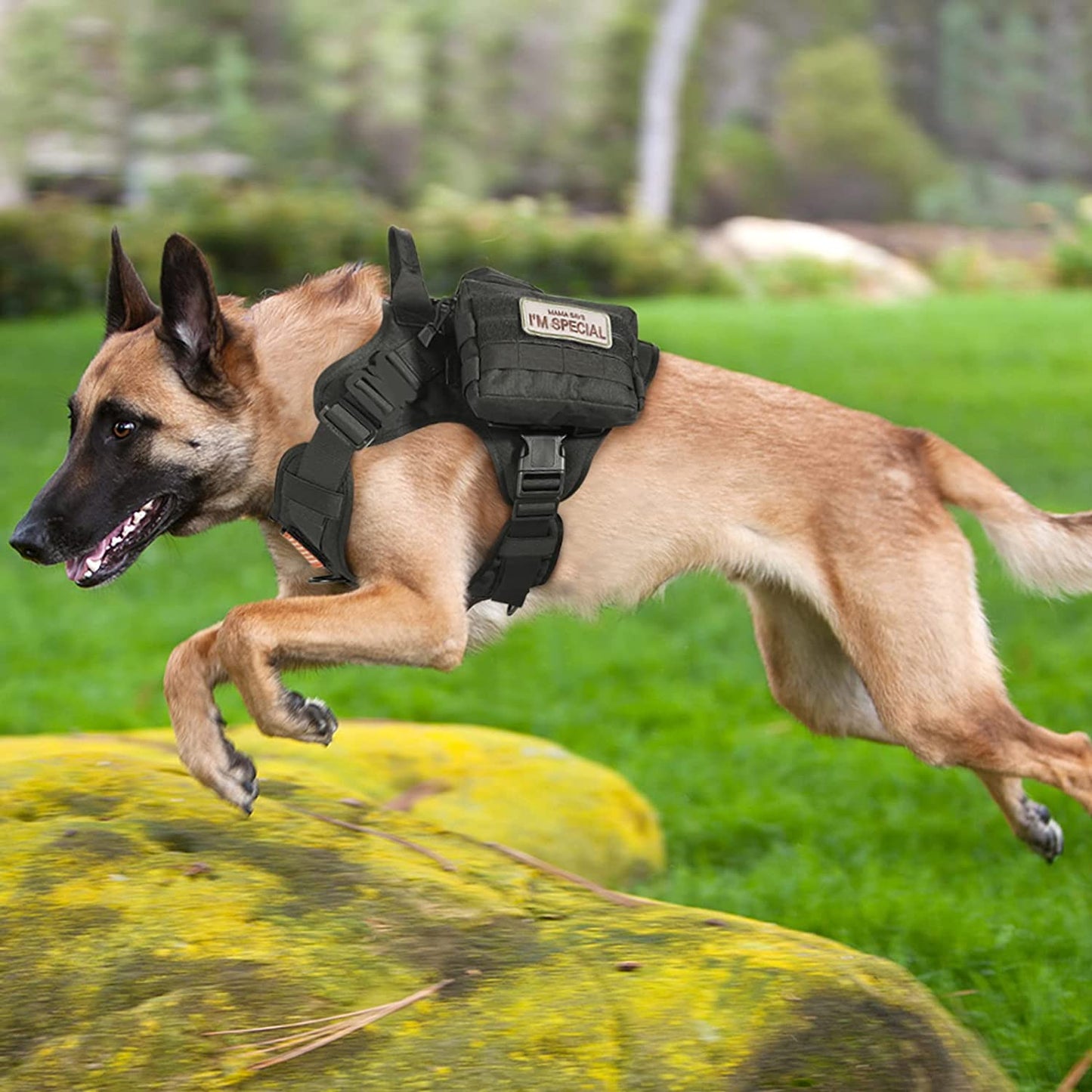 Dog Harness - Heavy Duty Dog Tactical Harness with Handle No-Pull Dog Vest