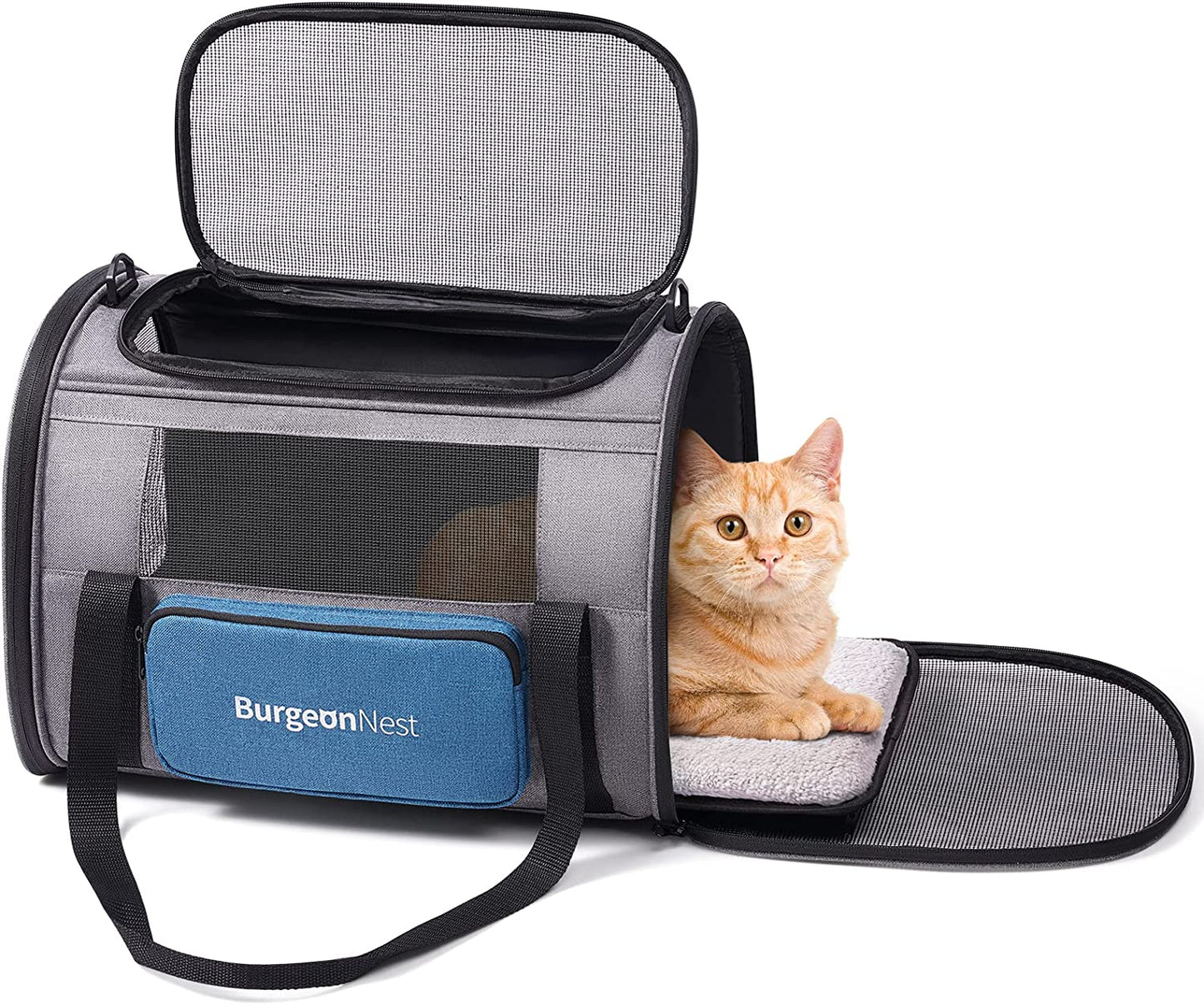 Large Pet Carrier - 20 Lbs Small Dogs Carrier with 4 Ventilated Windows
