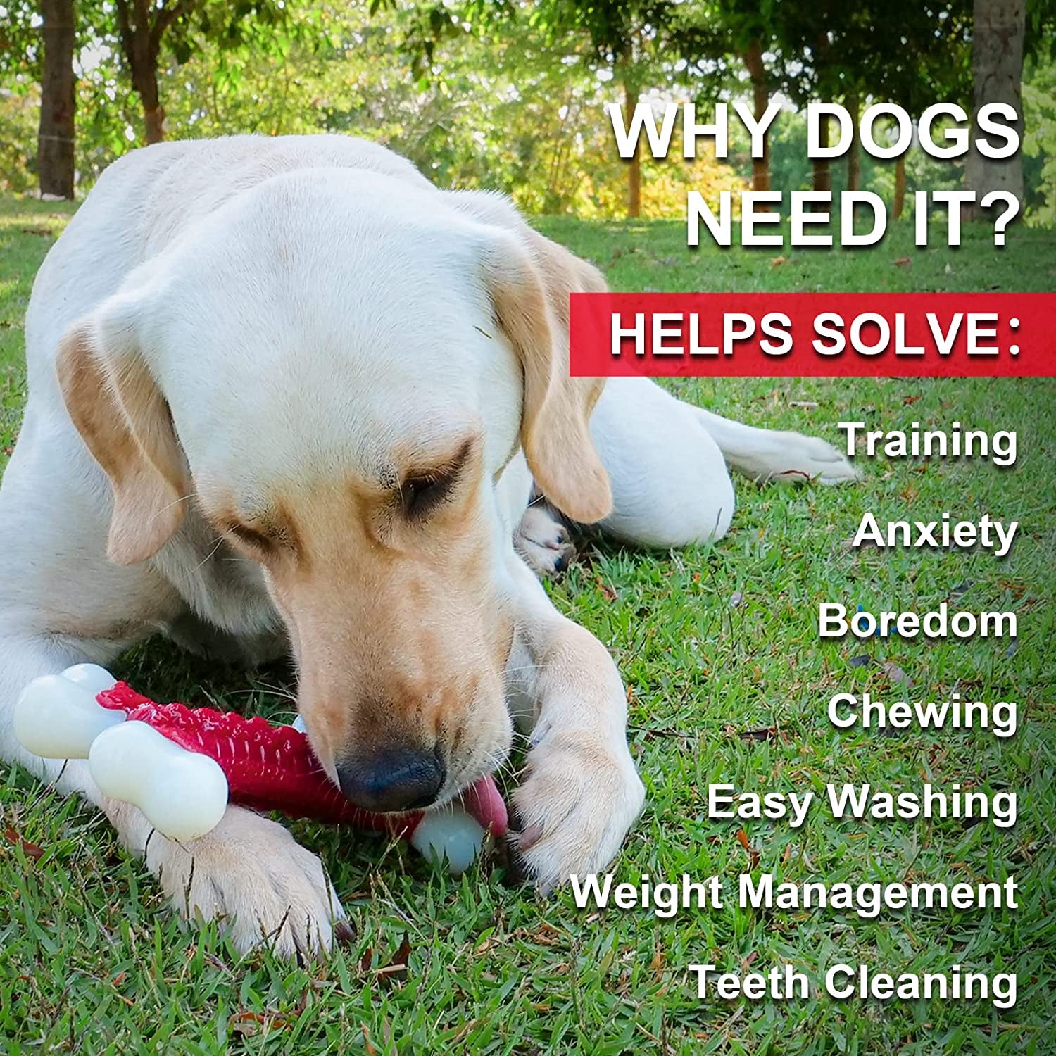 Dog Toys - Indestructible Dog Bone Chew Nylon Toys - Aggressive Chew Dogs Toys
