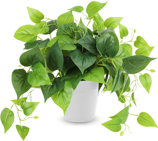 Artificial Plants with Plastic Pot for Home and Office Decor