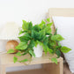 Artificial Plants with Plastic Pot for Home and Office Decor