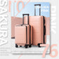 Luggage Suitcase Set - Carry on ABS+PC Spinner Trolley with Pocket