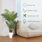 Artificial Palm Tree Plant - Tropical Palm Plant with White Taper Planter
