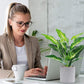 Artificial Plants - Fake Faux Plants Artificial Indoor Potted Plants