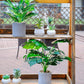 Artificial Plants - Fake Faux Plants Artificial Indoor Potted Plants