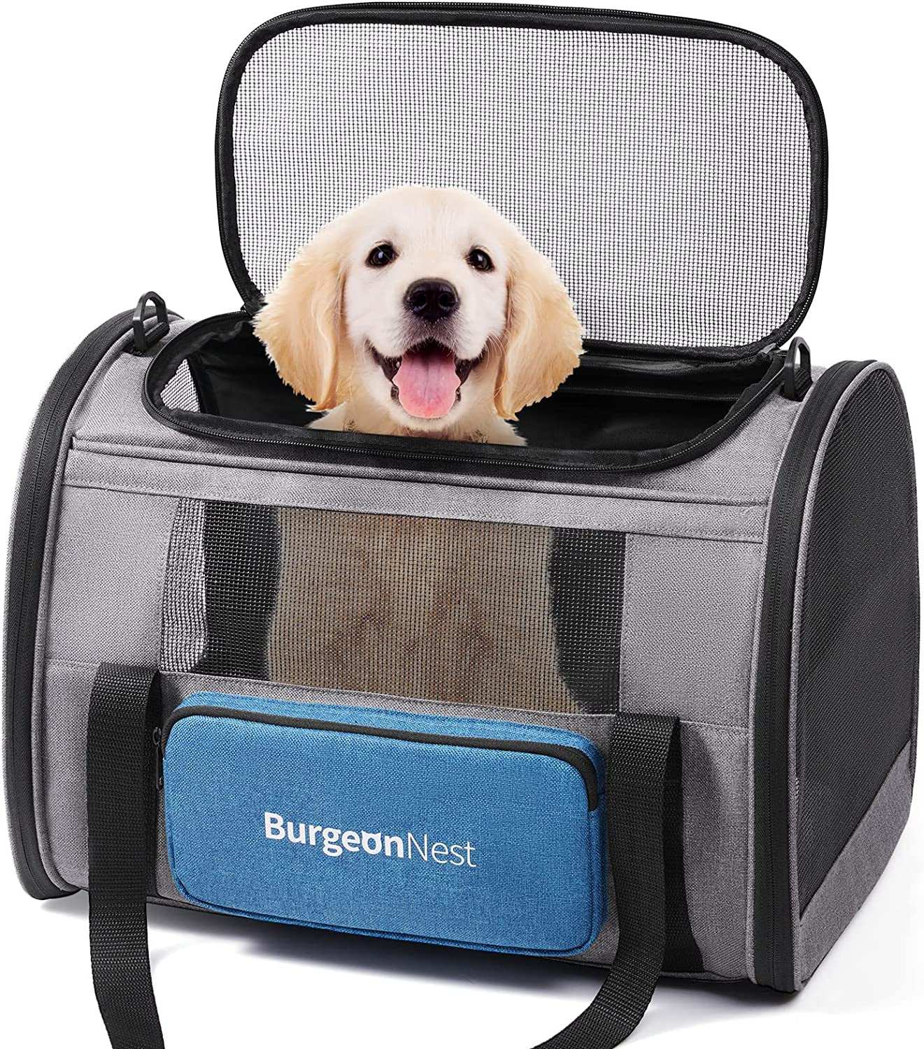 Large Pet Carrier - 20 Lbs Small Dogs Carrier with 4 Ventilated Windows