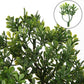 Artificial Bonsai Tree - Fake Indoor Decor Plants with Ceramic Pots