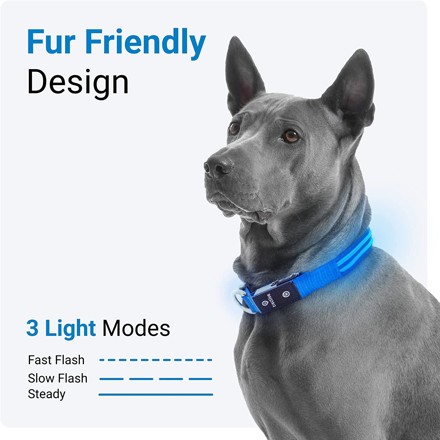 LED Light up Dog Collar - Waterproof & Rechargeable 3 Light Modes for Night Walking