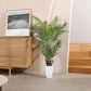 Artificial Palm Tree Plant - Tropical Palm Plant with White Taper Planter