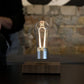 Levitating Magnetic LED Light Bulb - Floating Magic Desk Lamp