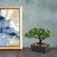 Artificial Bonsai Tree - Fake Indoor Decor Plants with Ceramic Pots