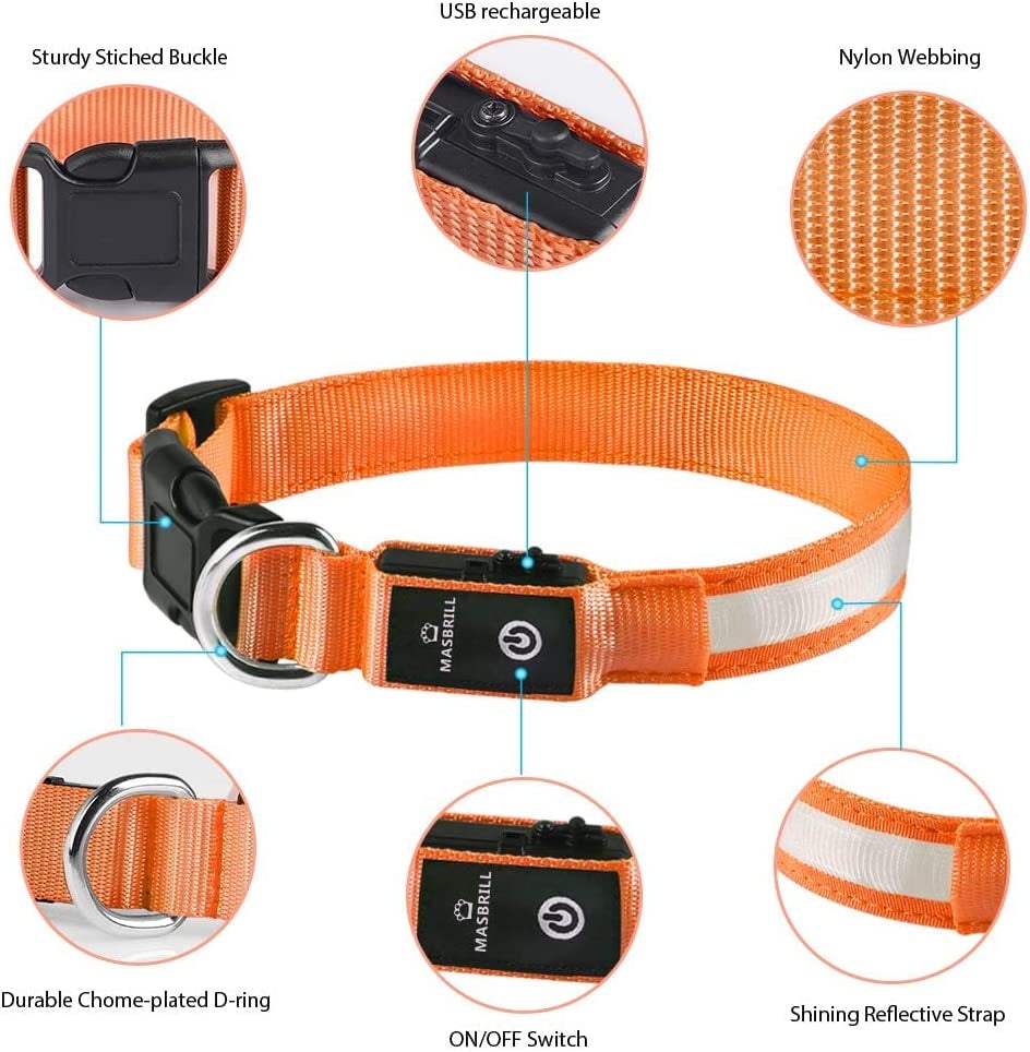 Dog Collars - Waterproof LED Rechargeable Dog Collar