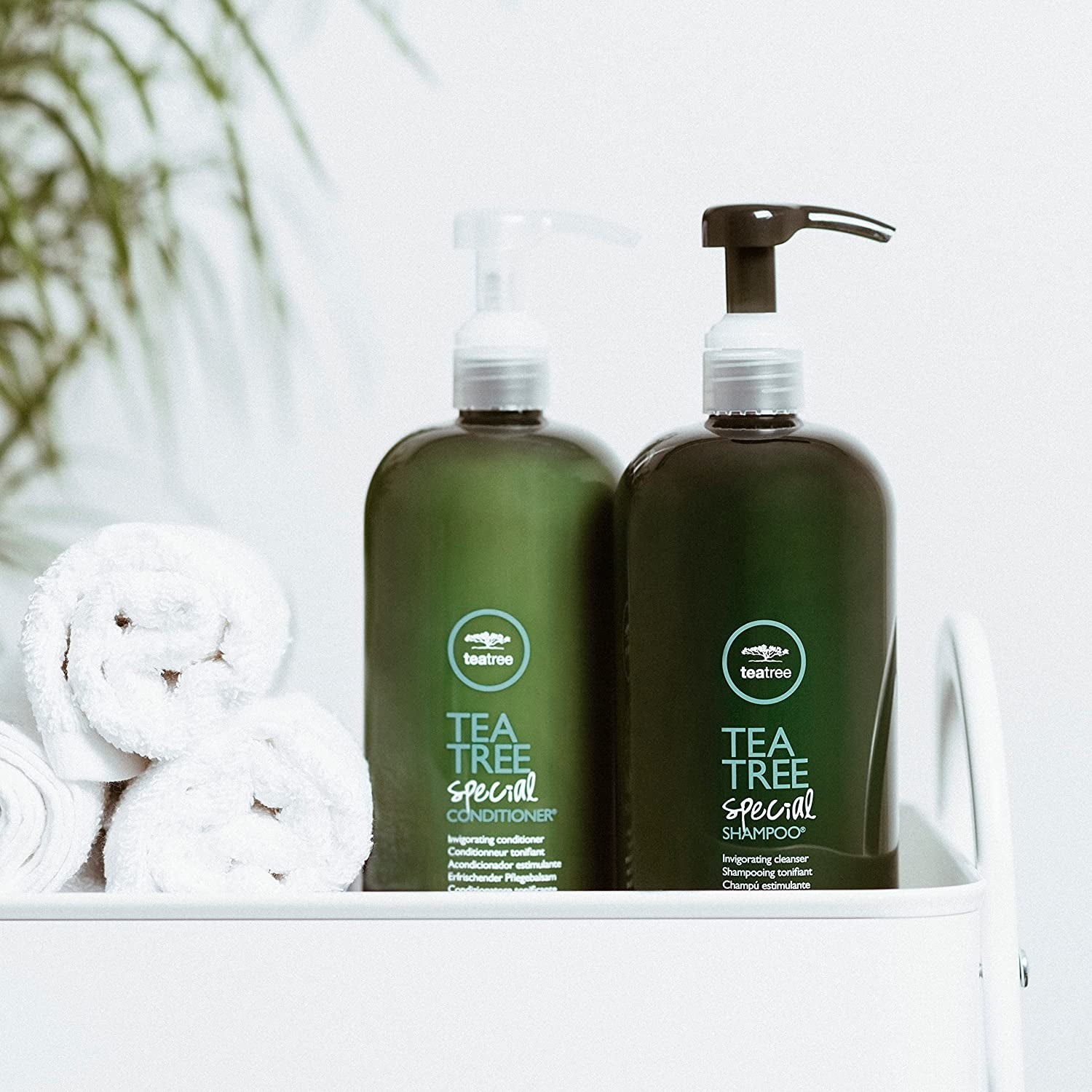 Tea Tree Shampoo - Deep Cleans Refreshes Scalp for All Hair Types Especially Oily Hair