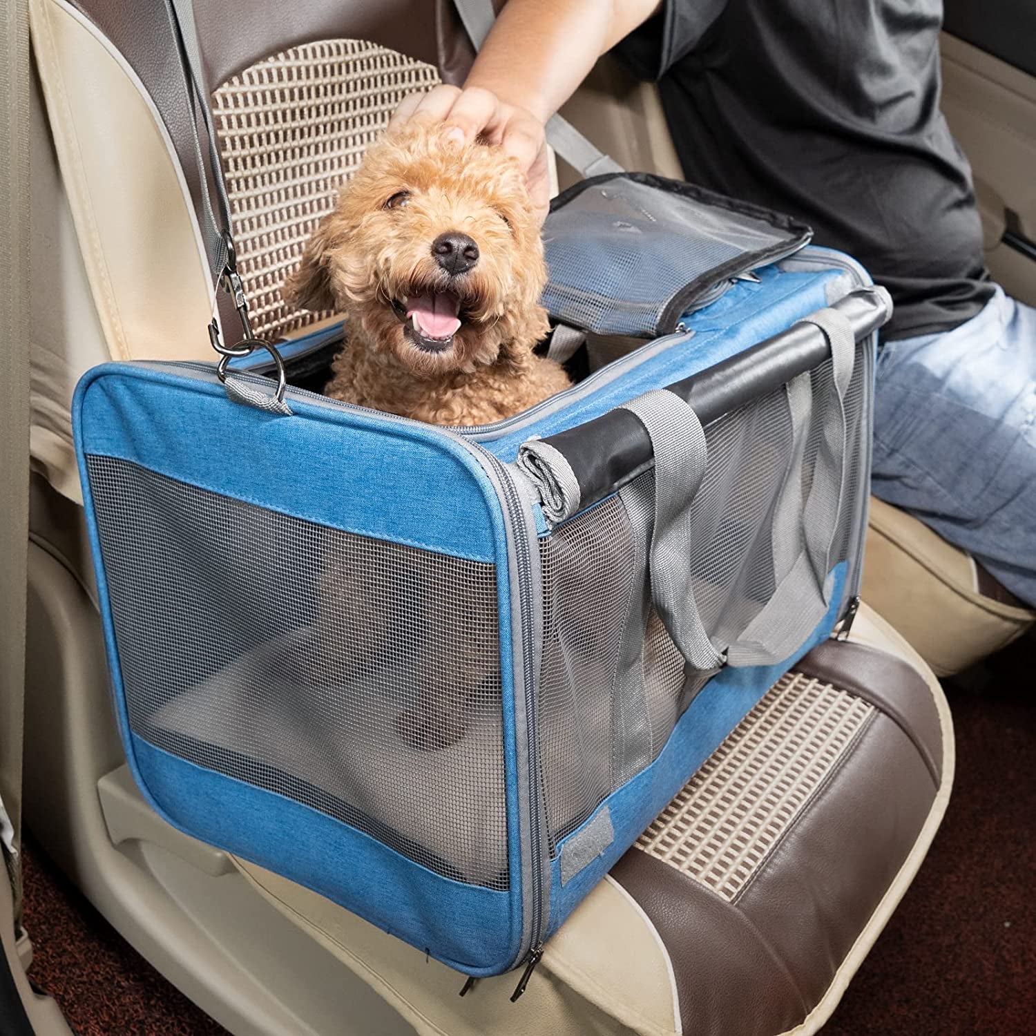 Pet Carrier - Large & Medium Cats Or Small Dog Travel Carrier