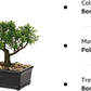 Artificial Bonsai Tree - Fake Indoor Decor Plants with Ceramic Pots