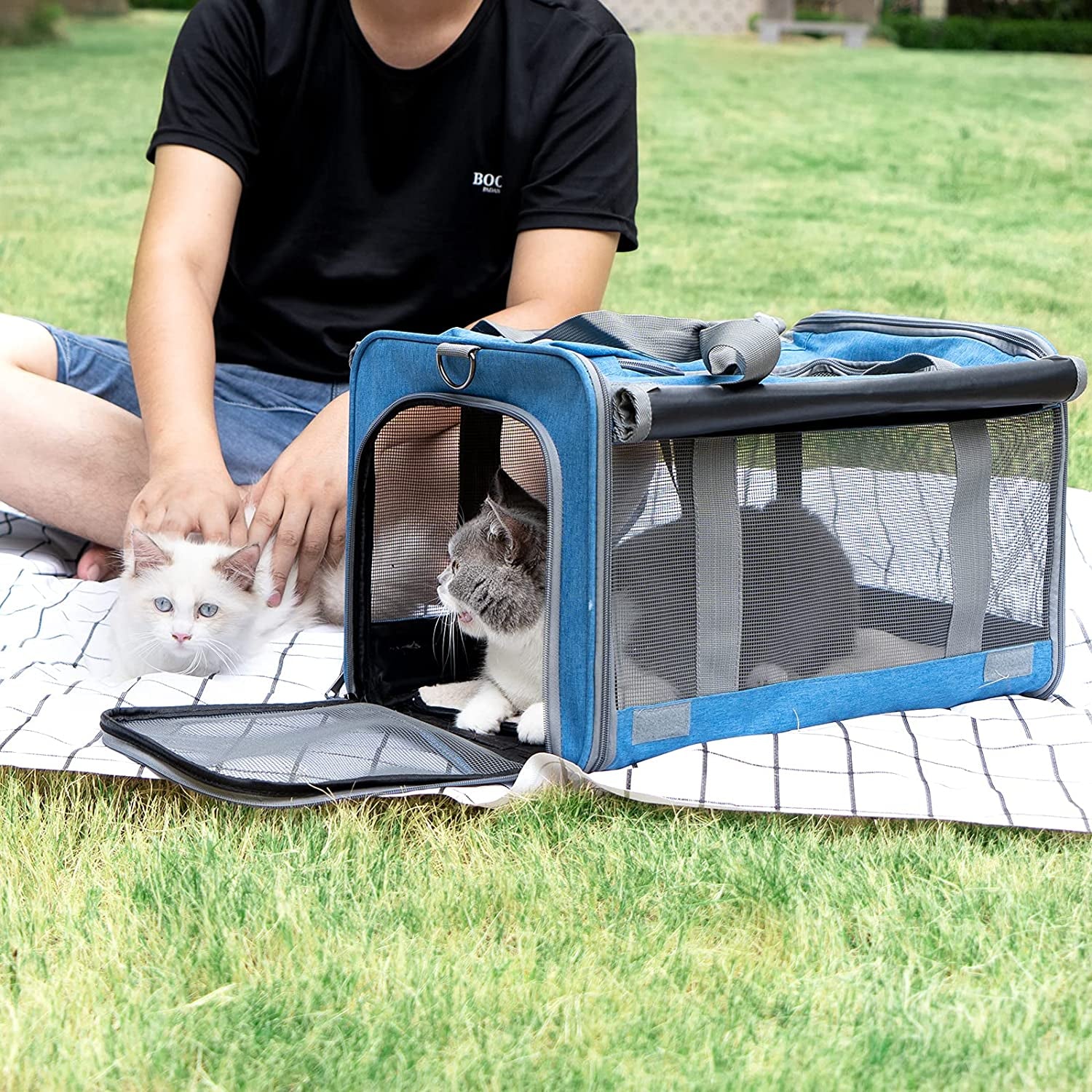 Pet Carrier - Large & Medium Cats Or Small Dog Travel Carrier